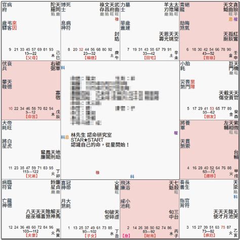 武曲破軍坐命|紫微命盤解析——武曲、破軍在巳、亥宮